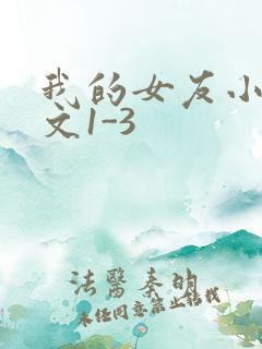 我的女友小洁全文1-3