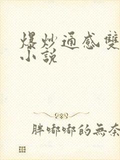 爆炒通感双胞胎小说