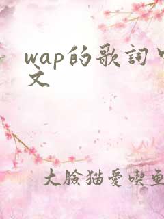 wap的歌词中文