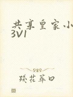 共享皇家小公主3V1