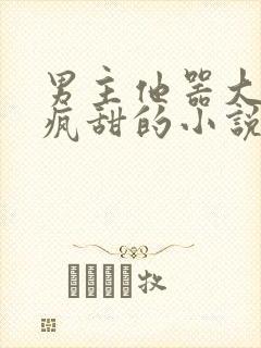 男主他器大活好疯甜的小说