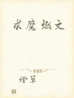 求魔 燃文