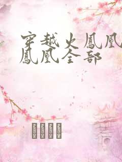 穿越火凤凰干火凤凰全部