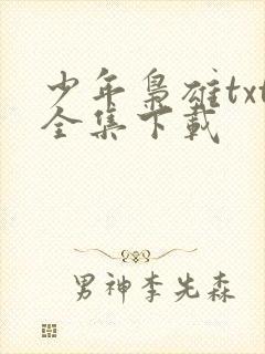 少年枭雄txt全集下载