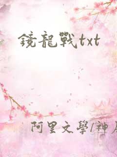 镜龙战txt