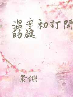 温实初打开眉庄的腿
