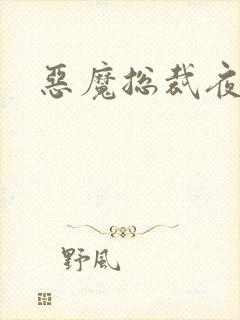 恶魔总裁夜锁爱