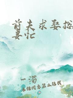 前夫求娶总裁追妻忙