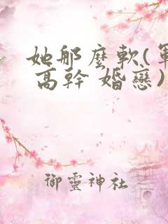 她那么软(军婚 高干 婚恋)完结