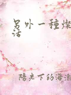 另外一种灿烂生活