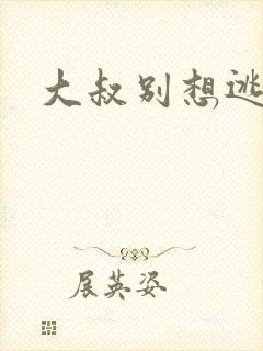 大叔别想逃