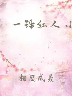 一号红人 小说