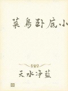 菜鸟卧底小正太