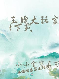 王牌大玩家txt下载