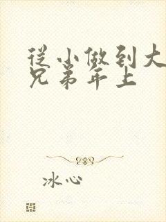 从小做到大骨科兄弟年上