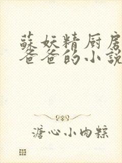 苏妖精厨房爹爹爸爸的小说