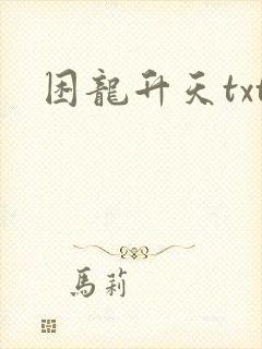 困龙升天txt