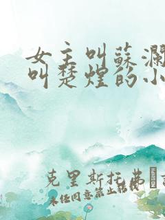 女主叫苏澜男主叫楚煜的小说