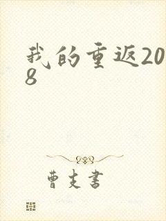 我的重返2008