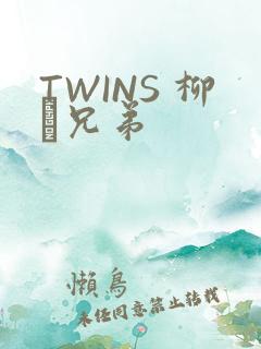 TWINS 柳澤兄弟