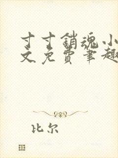 寸寸销魂小说全文免费笔趣阁