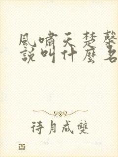 风啸天楚馨月小说叫什么名字