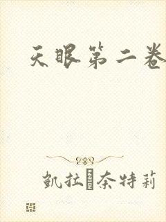 天眼第二卷