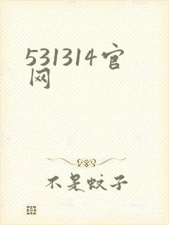 531314官网