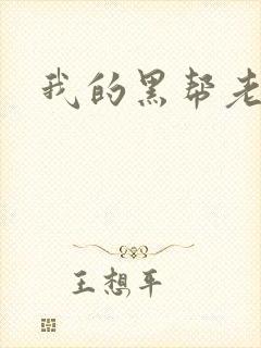 我的黑帮老公