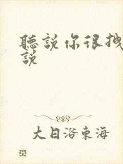 听说你很拽啊小说