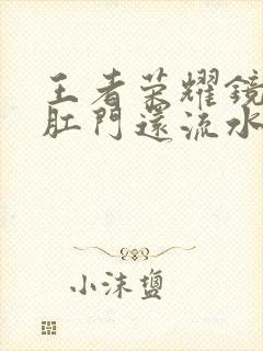 王者荣耀镜被捅肛门还流水