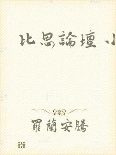 比思论坛 小说