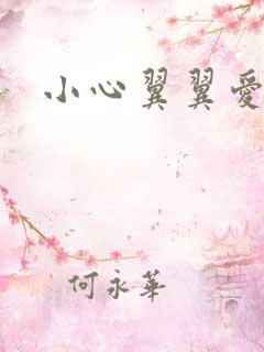 小心翼翼爱上你