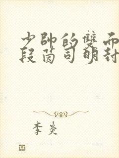 少帅的双面宠妻段茵司明封免费