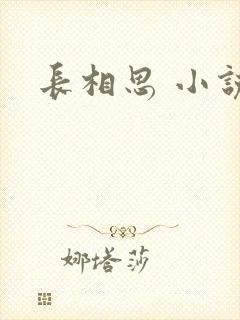 长相思 小说