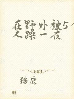 在野外被5个男人躁一夜