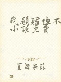 我愿赌但不服输小说免费