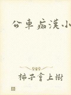 公车痴汉小说