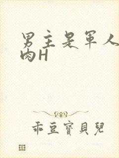 男主是军人的肉肉H