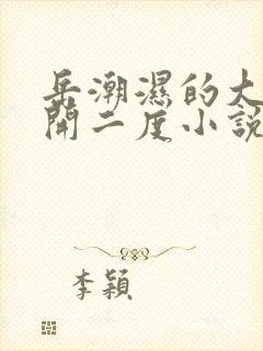 岳潮湿的大肥梅开二度小说