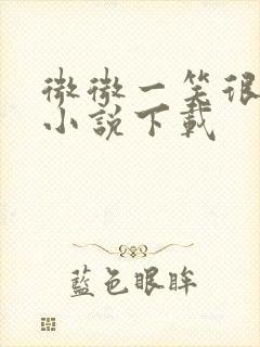 微微一笑很倾城小说下载