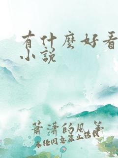 有什么好看的h小说