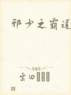 邪少之霸道娇妻