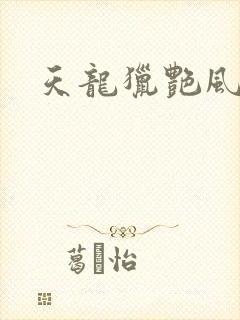 天龙猎艳风流