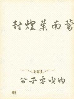 封煜叶南莺小说