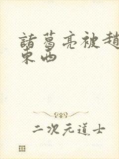 诸葛亮被赵云塞东西