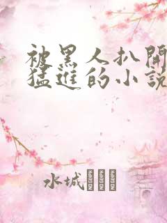 被黑人扒开双腿猛进的小说