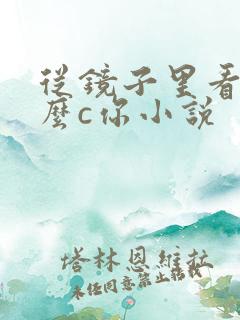 从镜子里看我怎么c你小说