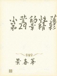 小莹的性荡生活第29章精彩章节