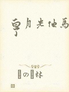 白月光他马甲掉了